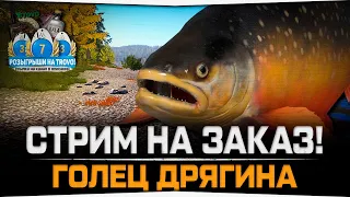 Голец Дрягина • Стрим на заказ • Русская Рыбалка 4