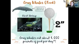 Langley Whale Center Youth Event - Gray Whales & the "Sounders"