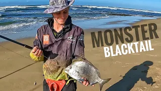 Fishing for Edibles in the Eastern Cape (Shad, Blacktail, Garrick, Steenbras and Stumpnose)
