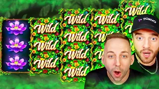 SKORO FULLSCREEN WILDŮ NA WILD BLOOMS!