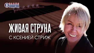 Концерт Алексея Филатова и Группы «А» - Радио Шансон «Живая струна»