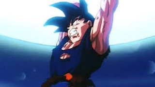 Goku AMV - Courtesy Call