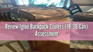 Review Igloo Backpack Coolers (18-30 Can) Assessment