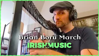 Harper's Unite! Brian Boru's March | Global Irish Music Session Tune ☘️