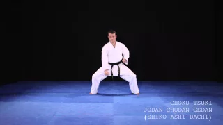 Kihon 30 - choku tsuki - jodan - chudan - gedan (shiko ashi dachi)