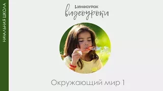 Здоровый образ жизни. Гигиена | Окружающий мир 1 класс #13 | Инфоурок