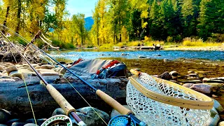 Fly Fishing the Freestone Rivers of the Cascades & Cutthroat Trout