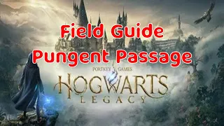 Hogwarts Legacy Castle Field Guide - Pungent Passage Page Guide