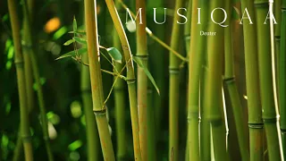 Deuter ⋄ Bamboo Forest ⋄ Meditation ⋄ Yoga ⋄ Bamboo Flute