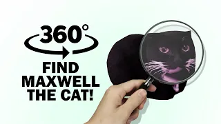 Maxwell The Cat - FINDING CHALLENGE #3 | 360 Degree Video