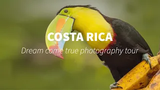 Costa Rica - my dream come true Photography tour