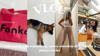 VLOG: enfermería, creando contenido, Fanka,  nuevo miembro de la familia y planes varios…@12alii