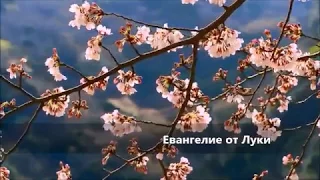 Евангелие от Луки / Глава 12