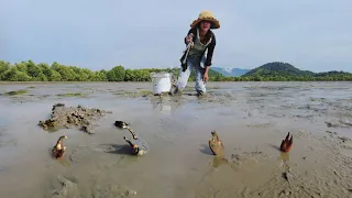 After Water Low Tide - I Found Many Massive Mud Crabs In Mud Beach