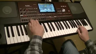 Total eclipse of the heart (B. Tyler) #119 Korg