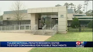 Tulane National Primate Research Center to study coronavirus