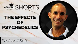 The Effects of Psychedelics on Conscious Level | Prof. Anil Seth