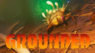 ГРИБКОВЫЕ ГУСЕНИЦЫ ● Grounded #12