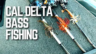 How to Catch BASS on the California Delta - MLF Toyota Series Practice Day 1