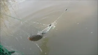 Рыбалка сетями на линя, щуку, карася, окуня ))). Зарыбляем водоем.