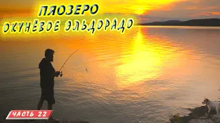 #22 Зашеек | Рыбалка на Пяозере | Княжегубско - Иовско - Кумское кольцо на байдарке 2021