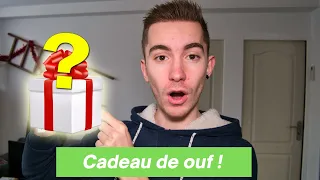 UNBOXING - 2 FOURMIS MAGNIFIQUES : CADEAU D'UN ABONNÉ