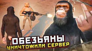 ОБЕЗЬЯНЫ ЗАХВАТИЛИ ВЕСЬ СЕРВЕР В ГТА 5 РП / GTA 5 RP