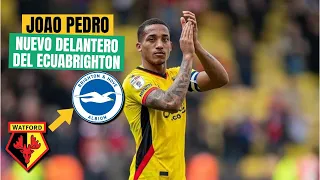 JOAO PEDRO, EL NUEVO DELANTERO BRASILEÑO 🇧🇷 del  BRIGHTON! | 🔥 REACCION a SUS JUGADAS y GOLES!