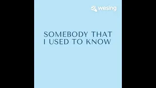 ◽️Somebody That I Used to Know ( feat. Bravi )