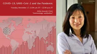 Akiko Iwasaki: "Immunology: antibodies" (11/17/2020)
