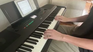 Adult Beginner Piano Progress - 6 Months (Self Taught)