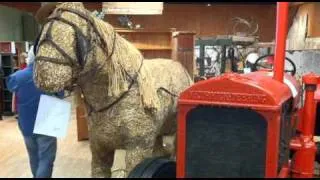 VIDEO BLOG: Boyds Bear Country auction