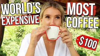 WORLD’S MOST EXPENSIVE COFFEE TESTED (Made from Cat Poop) BALI