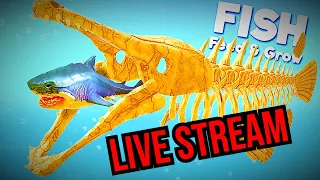 Krawll Unchained Live Stream -Feed and Grow Fish