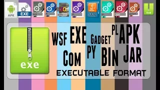 understanding  Executable file standard extension file format