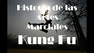 INCREÍBLE HISTORIA del KUNG FU