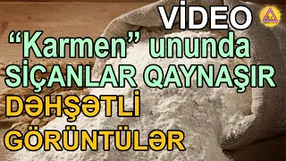 “Karmen” ununda siçanlar qaynaşır   VİDEO