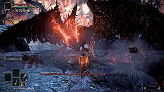 Elden Ring - Lvl1 Wretch VS Lichdragon Fortissax [Solo, No Damage]