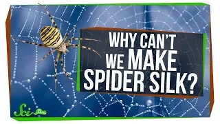 Why Can't We Make Spider Silk?