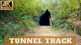 Walking Through Yowie Tunnel | Bigfoot Sounds | Dularcha National Park