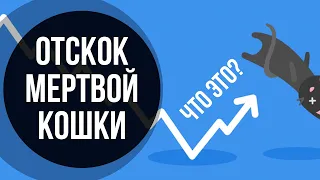 Отскок мертвой кошки - что это такое? Dead Cat Bounce.