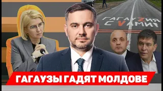 Гагаузы гадят Молдове | nokta live