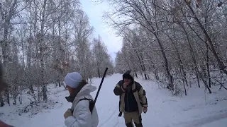 Охота на зайца. От таких гончаков лес гудел, зайцы к ногам прибегали. Сезон 2022-2023. №135