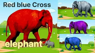 elephant are crossing in waterfoll / couler in blue  parpal and check out this vedio / click here/##