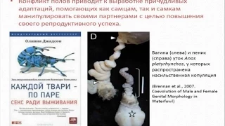 Марков Александр - Теория эволюции  Лекция 10 Половой отбор