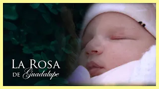 La Rosa de Guadalupe: Agripina se roba a la hija de sus patrones | Amor en tiempo de cuarentena