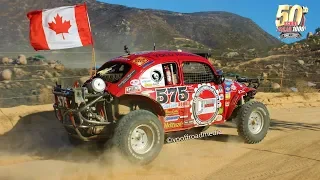 Baja Bugs. Racing for victory at the Baja 1000.