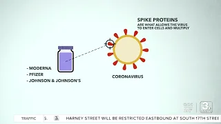 The technology behind the different vaccines