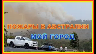 ПОЖАРЫ В АВСТРАЛИИ // ОГОНЬ В МОЕМ ГОРОДЕ // ОТВЕТЫ НА ВОПРОСЫ // 2020 // ВИКТОРИЯ