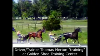 Shawn Wiles USTA Director/Monticello Raceway Racing Director Passes Commenting On Horse Abuser.